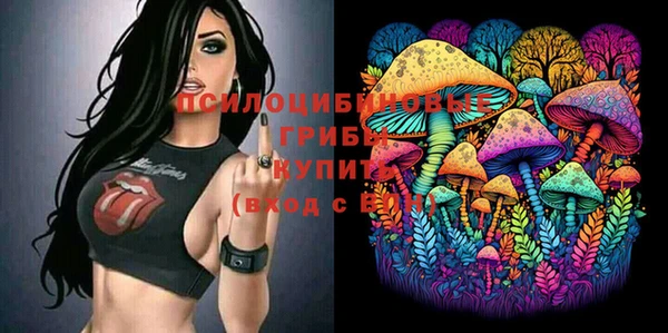 хмурый Краснослободск