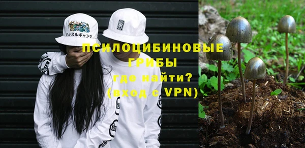 PSILOCYBIN Красноперекопск