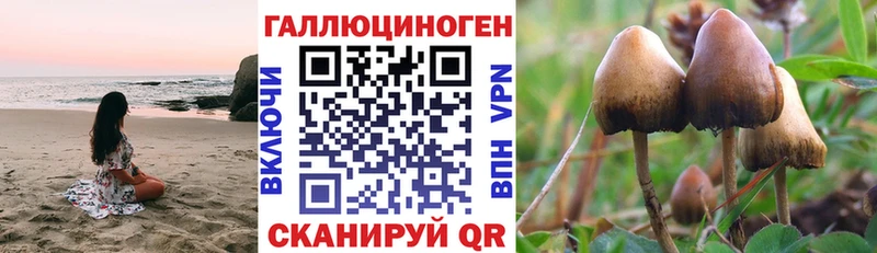 Псилоцибиновые грибы прущие грибы Боровск