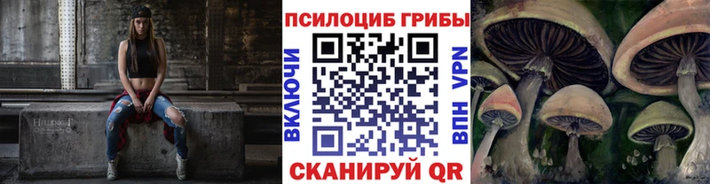 Купить  Боровск  Галлюциногенные грибы мицелий 
