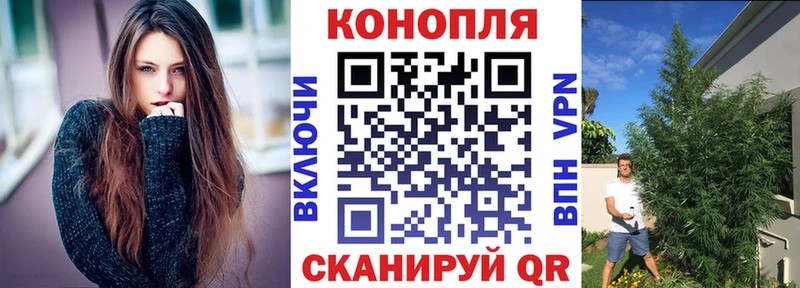 Бошки Шишки семена  Купить  Боровск 
